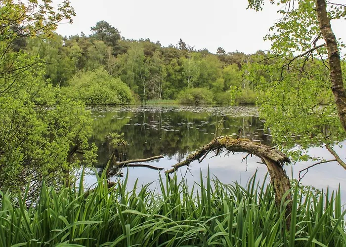 Robbe Lejlighed Cuxhaven